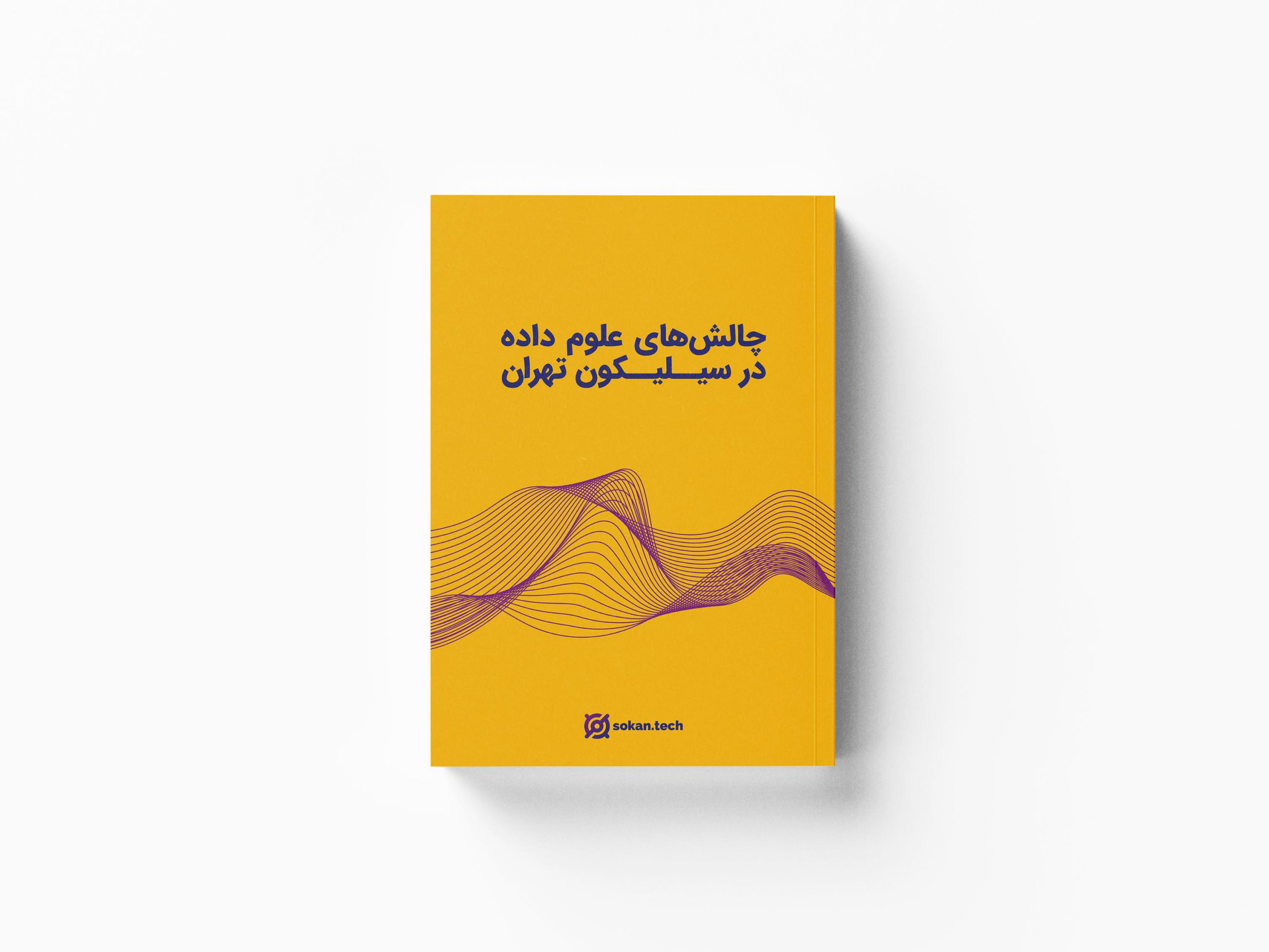 کتاب چالش‌های علوم داده در سیلیکون تهران